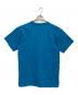 stussy (ステューシー) BIG BOY TEE ブルー サイズ:L：10000円
