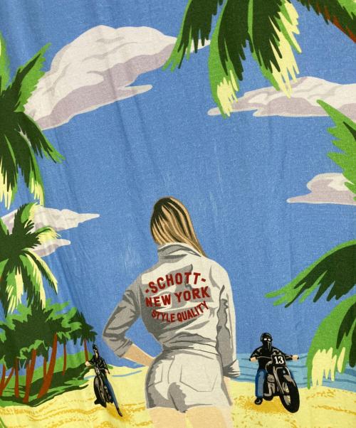 SCHOTT BROS.（ショットブロス）SCHOTT BROS. (ショットブロス) 半袖シャツ スカイブルー サイズ:Lの古着・服飾アイテム
