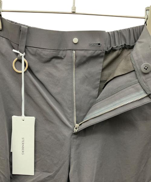 STERNBERG（スタンバーグ）STERNBERG (スタンバーグ) ハーフパンツ グレー サイズ:M 未使用品の古着・服飾アイテム