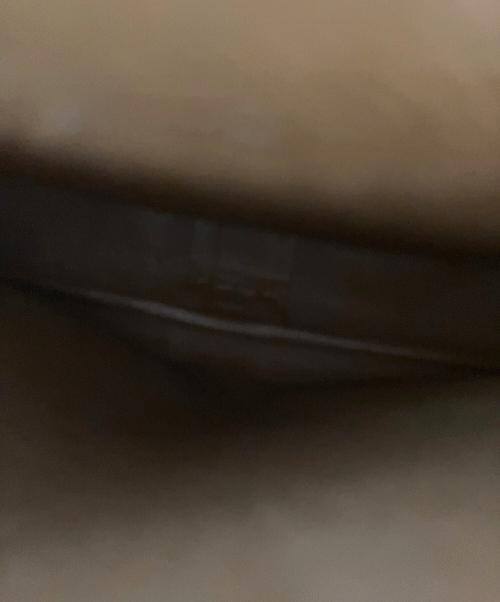 LOUIS VUITTON（ルイ ヴィトン）LOUIS VUITTON (ルイ ヴィトン) ショルダーバッグ ブラウン サイズ:GMの古着・服飾アイテム