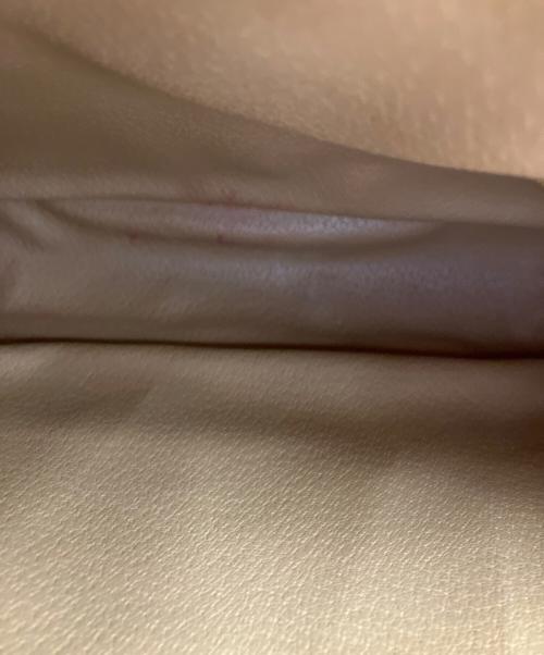 CELINE（セリーヌ）CELINE (セリーヌ) セカンドバッグの古着・服飾アイテム