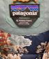 Patagoniaの古着・服飾アイテム：6000円