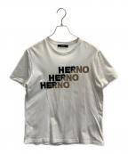 HERNOヘルノ）の古着「ロゴ刺繍・プリント ショートスリーブ Tシャツ」｜ホワイト