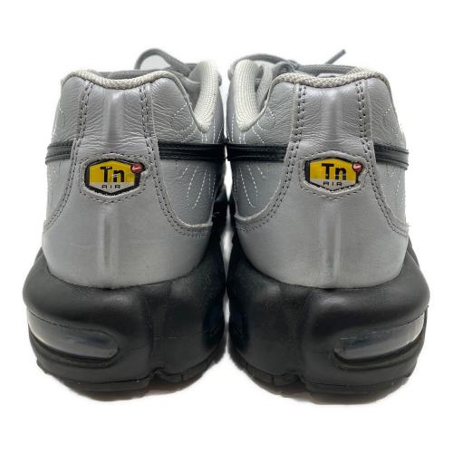NIKE（ナイキ）NIKE (ナイキ) AIR MAX PLUS WOLF GREY シルバー サイズ:27ｃｍの古着・服飾アイテム