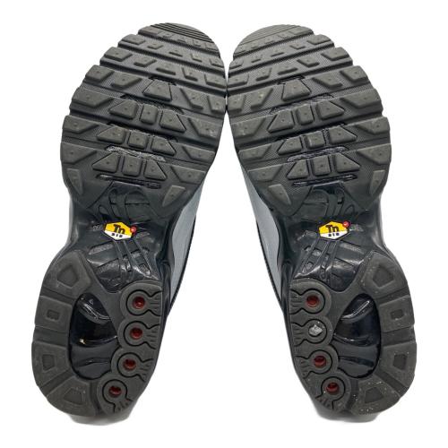NIKE（ナイキ）NIKE (ナイキ) AIR MAX PLUS WOLF GREY シルバー サイズ:27ｃｍの古着・服飾アイテム