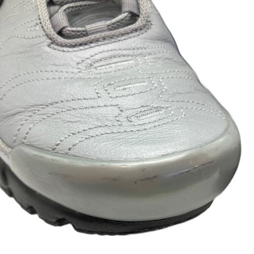 NIKE（ナイキ）NIKE (ナイキ) AIR MAX PLUS WOLF GREY シルバー サイズ:27ｃｍの古着・服飾アイテム
