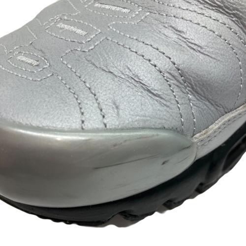 NIKE（ナイキ）NIKE (ナイキ) AIR MAX PLUS WOLF GREY シルバー サイズ:27ｃｍの古着・服飾アイテム