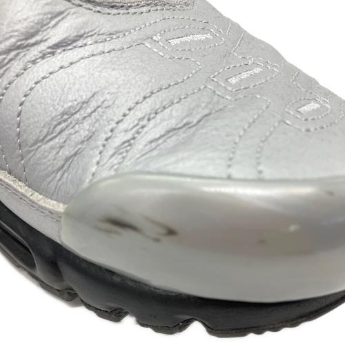 NIKE（ナイキ）NIKE (ナイキ) AIR MAX PLUS WOLF GREY シルバー サイズ:27ｃｍの古着・服飾アイテム