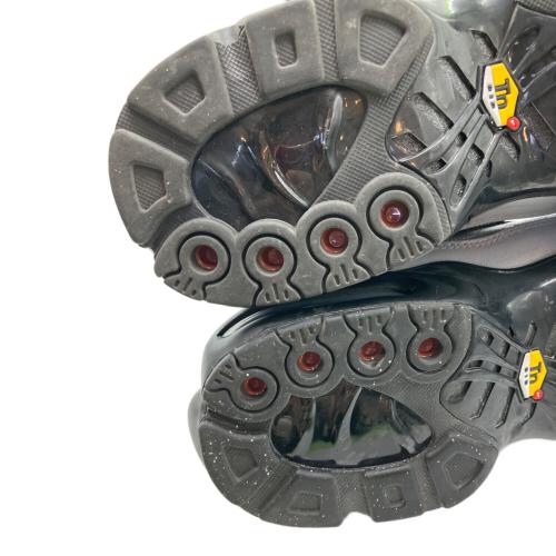 NIKE（ナイキ）NIKE (ナイキ) AIR MAX PLUS WOLF GREY シルバー サイズ:27ｃｍの古着・服飾アイテム