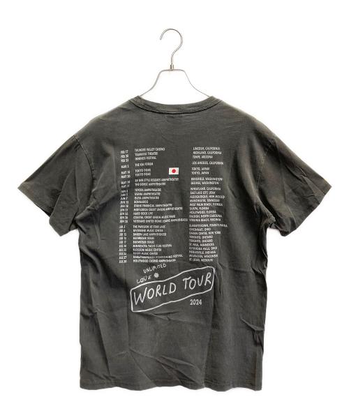 RED HOT CHILI PEPPERS（レッドホットチリペッパーズ）RED HOT CHILI PEPPERS (レッドホットチリペッパーズ) 24S バンドTシャツ グレー サイズ:Lの古着・服飾アイテム
