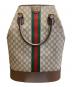 GUCCI（グッチ）の古着「OPHIDIA 760227 96IWT バッグ」｜ベージュ