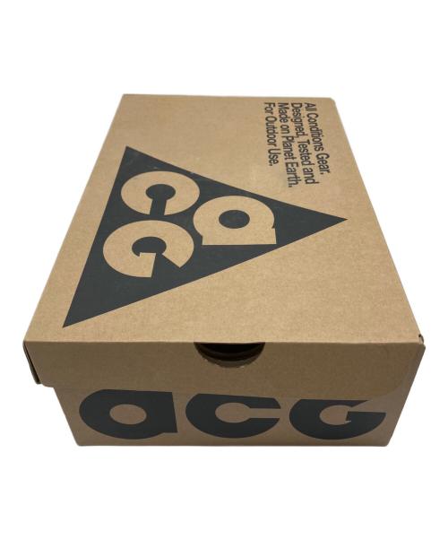 NIKE ACG（ナイキエーシージー）NIKE ACG (ナイキエーシージー) MOUNTAIN FLY LOW GTX SE グレー サイズ:25cmの古着・服飾アイテム