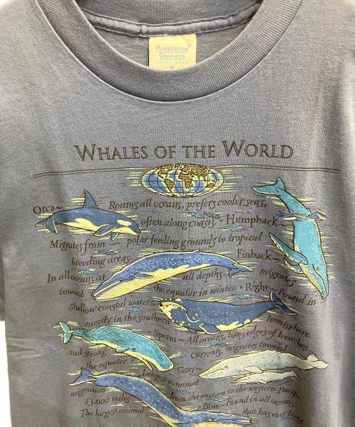 HARBORSIDE GRAPHICS（ハーバーサイドグラフィックス）HARBORSIDE GRAPHICS (ハーバーサイドグラフィックス) 半袖Tシャツ ネイビー サイズ:Mの古着・服飾アイテム