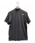 THE NORTH FACE (ザ ノース フェイス) ポロシャツ グレー サイズ:L：5000円