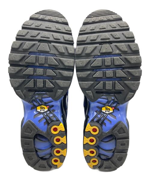 NIKE（ナイキ）NIKE (ナイキ) AIR MAX PLUS ブルー サイズ:26ｃｍの古着・服飾アイテム