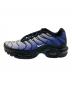 NIKE (ナイキ) AIR MAX PLUS ブルー サイズ:26ｃｍ：10000円