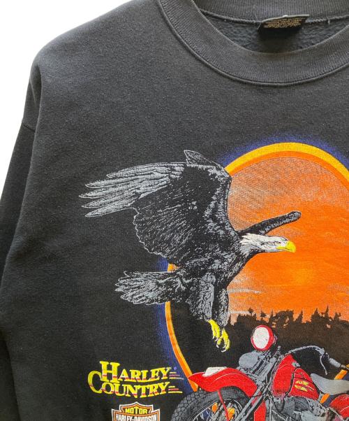 HARLEY-DAVIDSON（ハーレーダビッドソン）HARLEY-DAVIDSON (ハーレーダビッドソン) HARLEY-DAVIDSON　スウェット ブラック サイズ:Lの古着・服飾アイテム