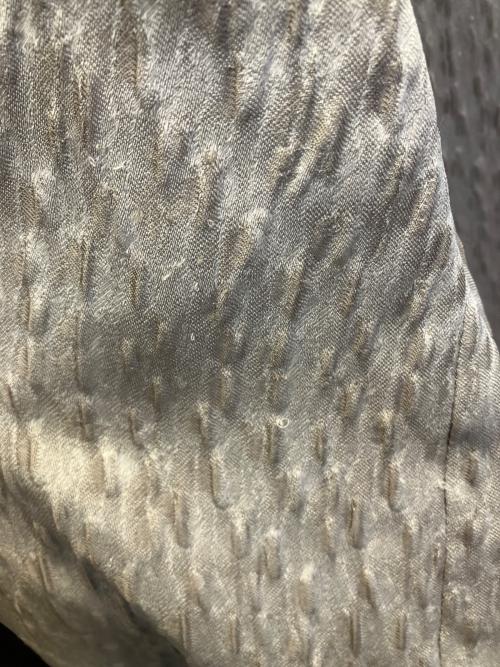 EMPORIO ARMANI（エンポリオ アルマーニ）EMPORIO ARMANI (エンポリオ アルマーニ) テーラードジャケット グレー サイズ:不明の古着・服飾アイテム
