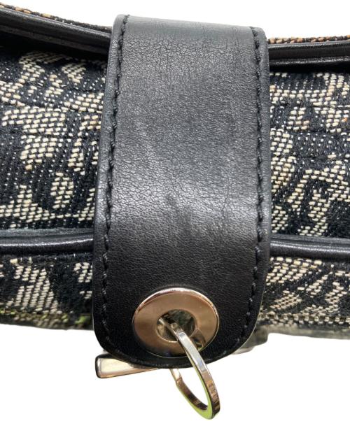 Christian Dior（クリスチャン ディオール）Christian Dior (クリスチャン ディオール) トロッター ワンショルダーバッグ ブラックの古着・服飾アイテム