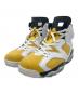 NIKE（ナイキ）の古着「Nike Air Jordan 6 Retro 