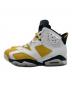 NIKE (ナイキ) Nike Air Jordan 6 Retro 