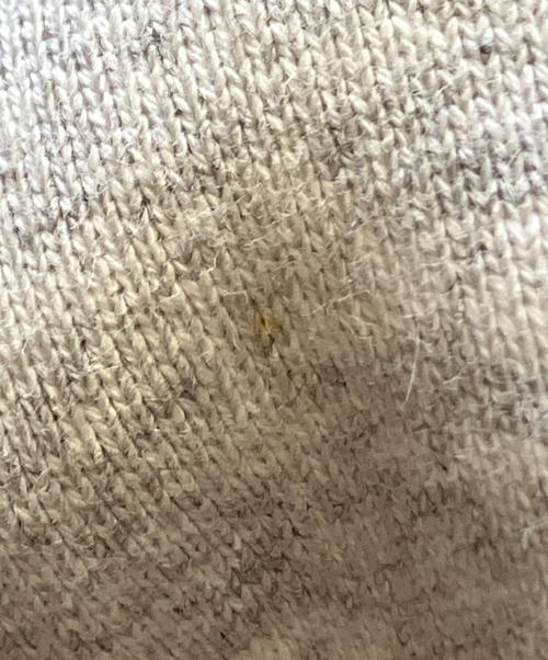 SUPREME（シュプリーム）SUPREME (シュプリーム) kate moss hooded sweatshirt グレー サイズ:Sの古着・服飾アイテム