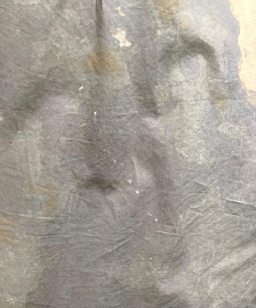 FENDI（フェンディ）FENDI (フェンディ) 半袖シャツ ブラック サイズ:38の古着・服飾アイテム