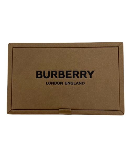BURBERRY（バーバリー）BURBERRY (バーバリー) タイピン シルバーカラーの古着・服飾アイテム
