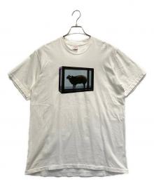 SUPREME（シュプリーム）の古着「プリントTシャツ」｜ホワイト