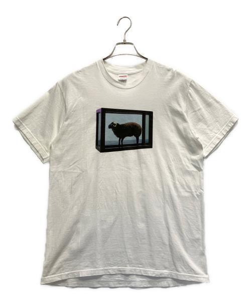 SUPREME（シュプリーム）SUPREME (シュプリーム) プリントTシャツ ホワイト サイズ:Mの古着・服飾アイテム