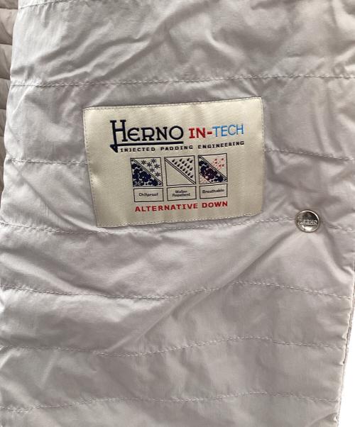 HERNO（ヘルノ）HERNO (ヘルノ) ダウンコート グレー サイズ:40の古着・服飾アイテム