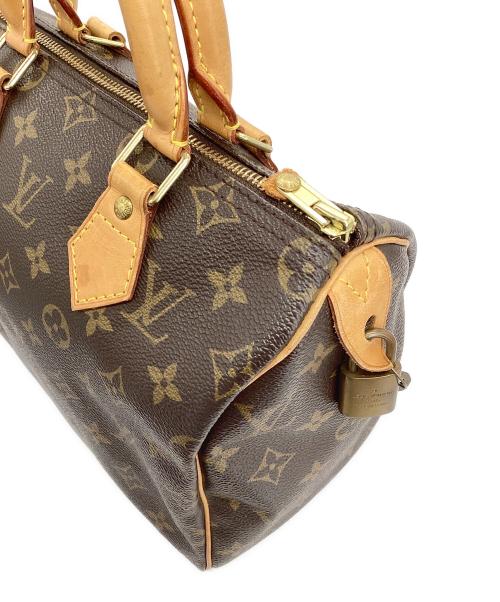 LOUIS VUITTON（ルイ ヴィトン）LOUIS VUITTON (ルイ ヴィトン) ハンドバッグの古着・服飾アイテム