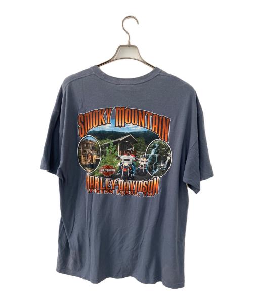 HARLEY-DAVIDSON（ハーレーダビッドソン）HARLEY-DAVIDSON (ハーレーダビッドソン) 半袖カットソー グレー サイズ:XLの古着・服飾アイテム