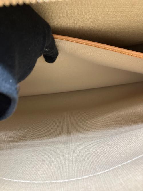 LOUIS VUITTON（ルイ ヴィトン）LOUIS VUITTON (ルイ ヴィトン) ハンドバッグの古着・服飾アイテム