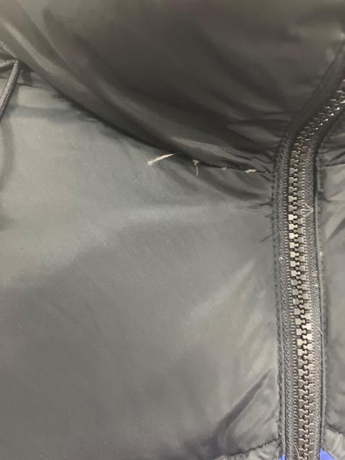 THE NORTH FACE（ザ ノース フェイス）THE NORTH FACE (ザ ノース フェイス) ダウンジャケット ブルー×ブラック サイズ:LARGEの古着・服飾アイテム
