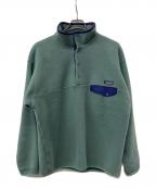 Patagoniaパタゴニア）の古着「Synchilla Snap-T Pullover」｜スカイブルー