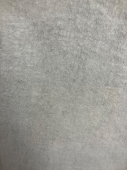 stussy（ステューシー）stussy (ステューシー) ジップパーカー アイボリー サイズ:XLの古着・服飾アイテム