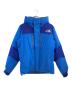 THE NORTH FACE（ザ ノース フェイス）の古着「バルトロライトjyakextuto」｜ブルー