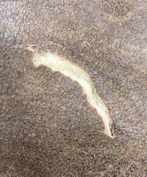 AVIREX（アヴィレックス）AVIREX (アヴィレックス) ボマージャケット ブラウン サイズ:44の古着・服飾アイテム