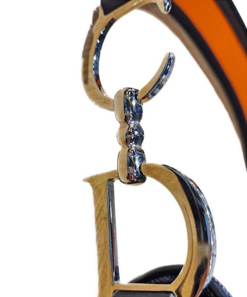 Christian Dior（クリスチャン ディオール）Christian Dior (クリスチャン ディオール) トロッターサドルバッグ グレー サイズ:-の古着・服飾アイテム