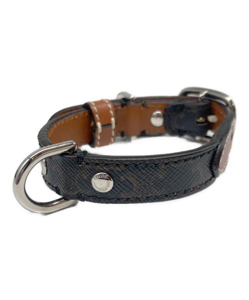 CELINE（セリーヌ）CELINE (セリーヌ) トリオンフ リード&首輪セットの古着・服飾アイテム