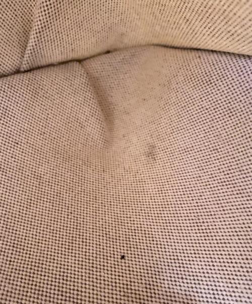 HERMES（エルメス）HERMES (エルメス)  サコ ロデオトアルアッシュ　キャンバスショルダーバッグ ブラウンの古着・服飾アイテム