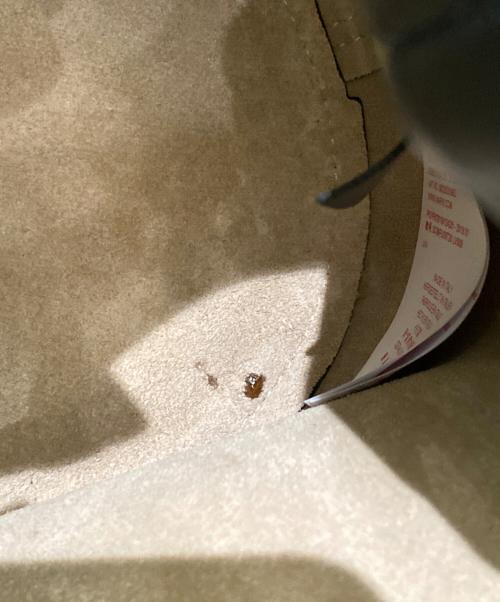 MARNI（マルニ）MARNI (マルニ) パエニサークルバケット ブラックの古着・服飾アイテム