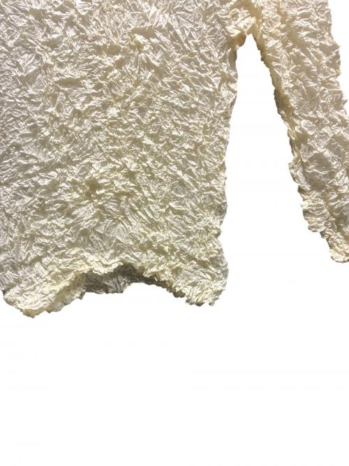 ISSEY MIYAKE（イッセイミヤケ）ISSEY MIYAKE (イッセイミヤケ) ハイネックロングスリーブカットソー ベージュ サイズ:Mの古着・服飾アイテム