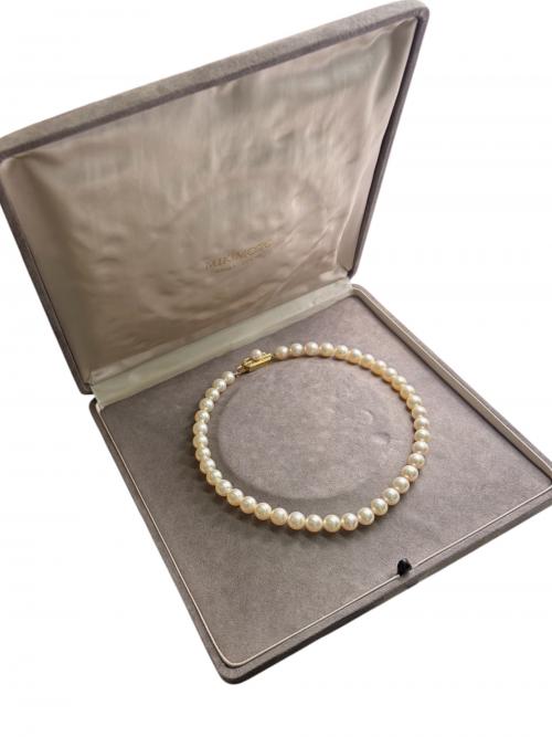 MIKIMOTO（ミキモト）MIKIMOTO (ミキモト) アコヤ真珠ネックレス サイズ:35cmの古着・服飾アイテム