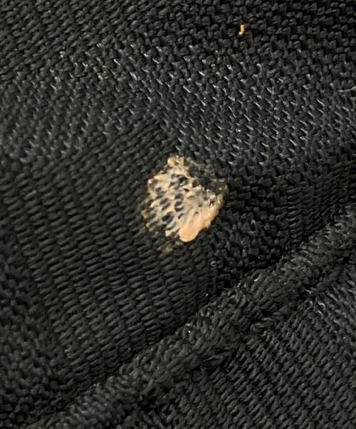 FENDI（フェンディ）FENDI (フェンディ) ズッカ ブラックの古着・服飾アイテム