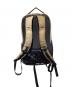 ARC'TERYX (アークテリクス) BEAMS BOY (ビームスボーイ) 別注バックパック ベージュ：23000円