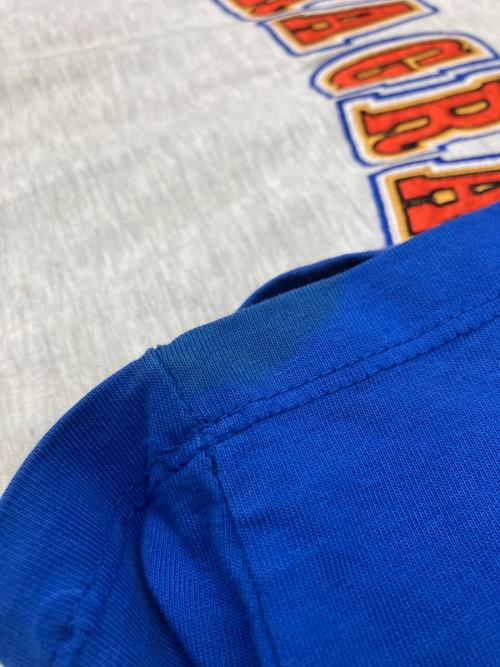 paragraph（パラグラフ）Paragraph (パラグラフ) ラグランTシャツ ブルー×グレー サイズ:不明の古着・服飾アイテム