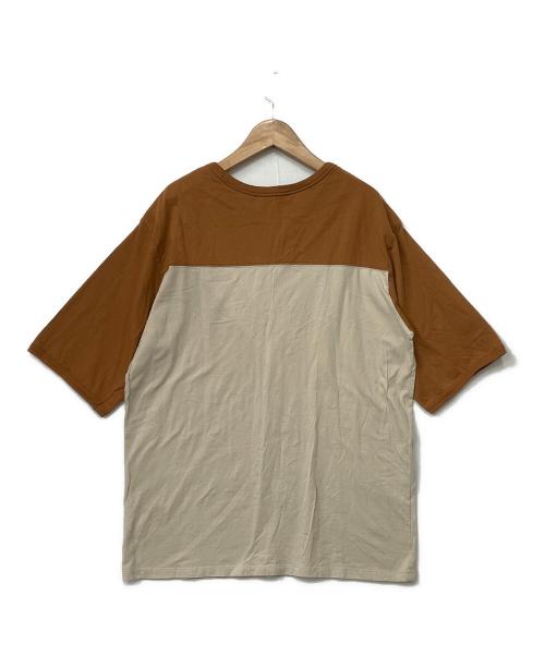 Patagonia（パタゴニア）Patagonia (パタゴニア) Tシャツ ブラウン×ベージュ サイズ:Mの古着・服飾アイテム