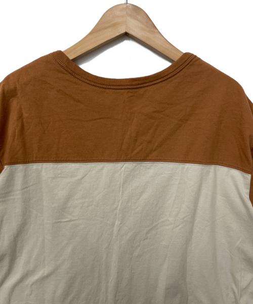 Patagonia（パタゴニア）Patagonia (パタゴニア) Tシャツ ブラウン×ベージュ サイズ:Mの古着・服飾アイテム